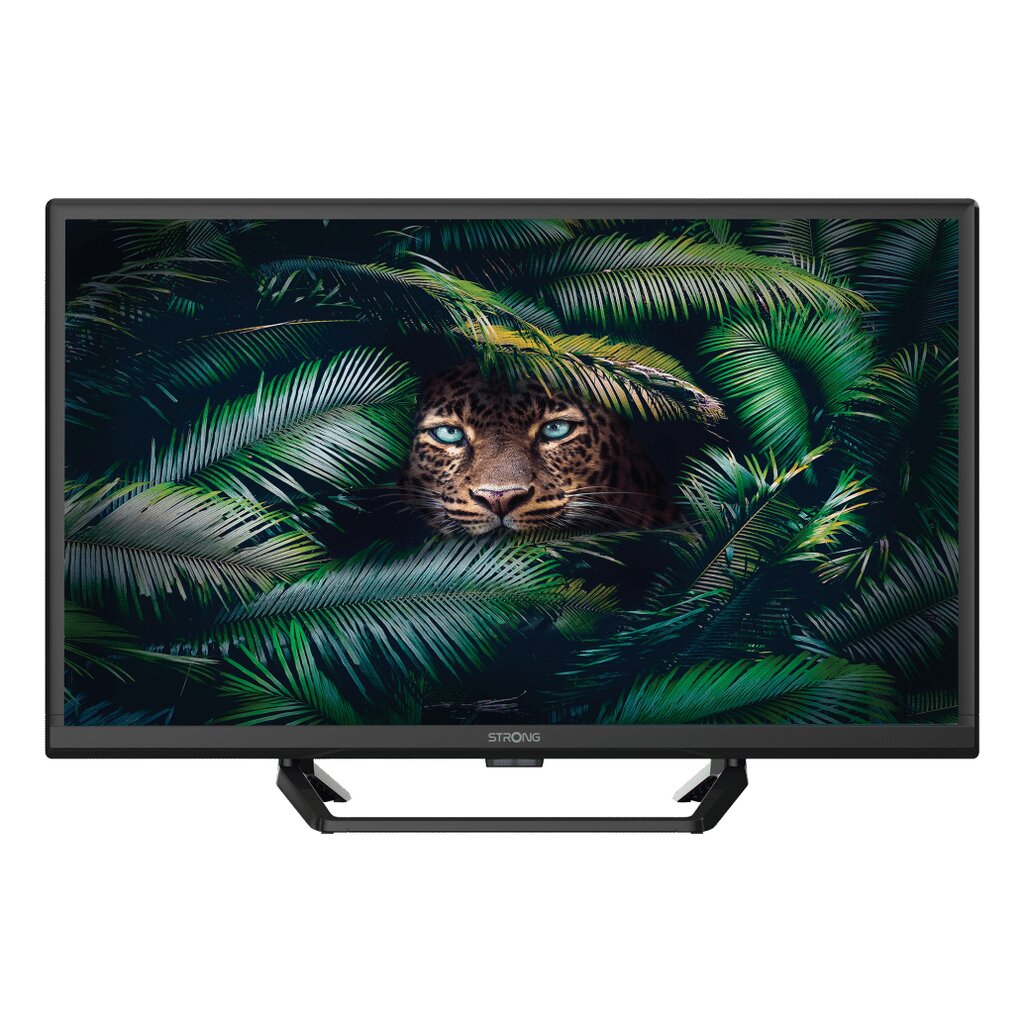 Strong SRT 24HE4023C 61 cm (24") HD Nero 180 cd/m²