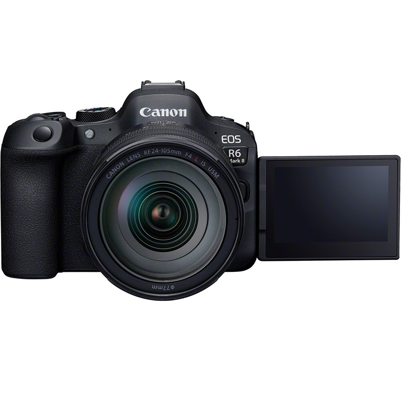 canon-eos-r6-ii-24-105-f4l-3-jpg - Torino Fotografia