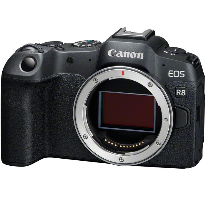 canon-eos-r8-rf-100-400mm-f-5-6-8-is-usm - Torino Fotografia
