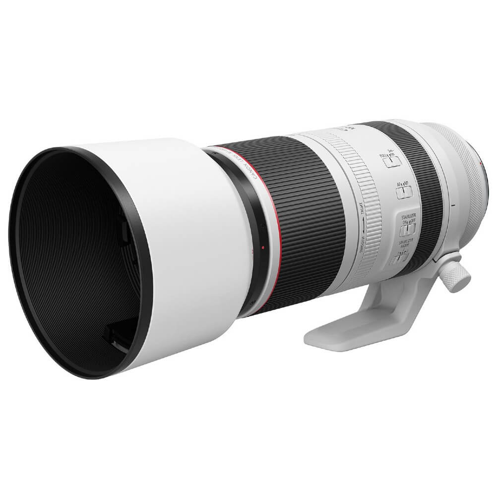 canon-rf-100-500mm-f-4-5-7-1l-is-usm-extend - Torino Fotografia