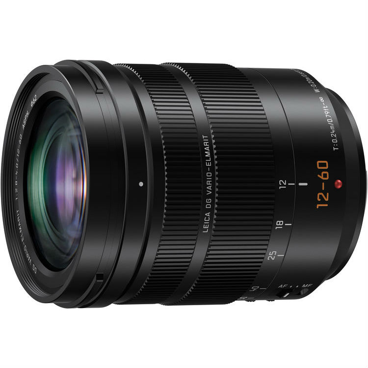 Panasonic Leica DG Vario-Elmarit 12-60mm F2.8-F4